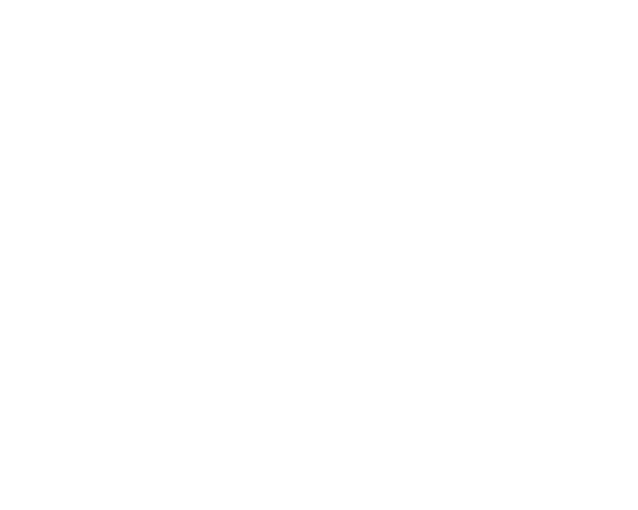 Zentinel Logo